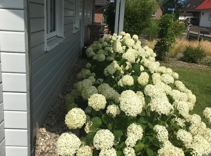 Casa vacanze Schwedenvilla Estelle Dorphof